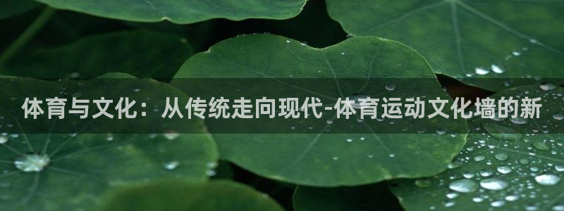 vsport体育：体育与文化：从传统走向现代-体育运动文化墙的新