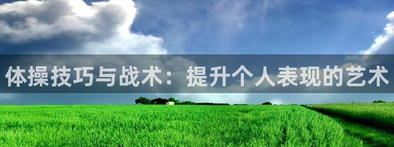 vsport体育：体操技巧与战术：提升个人表现的艺术