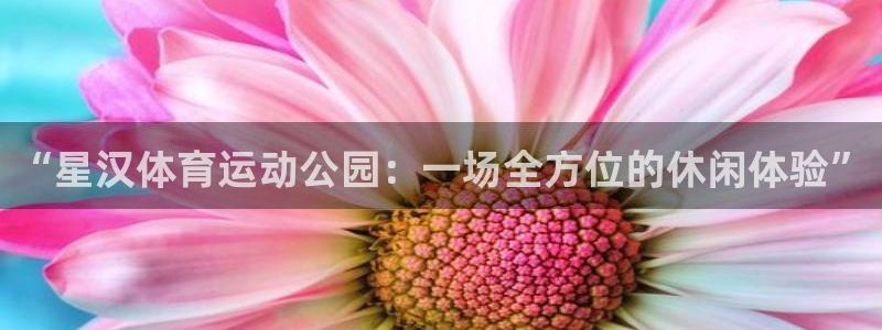 vsport体育在线官网：“星汉体育运动公园：一场全方位的休闲体验”