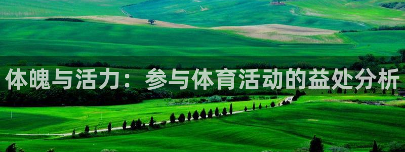 vsport体育：体魄与活力：参与体育活动的益处分析