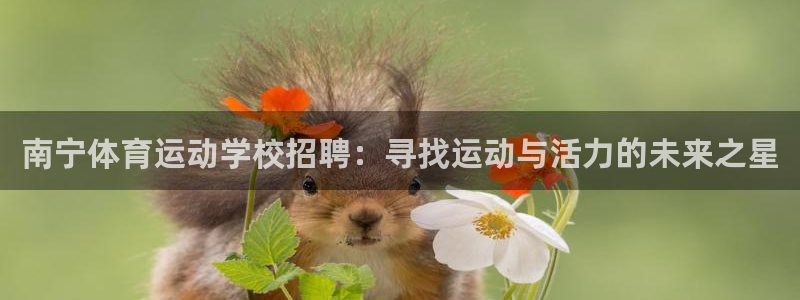 vsport体育：南宁体育运动学校招聘：寻找运动与活力的未来之星