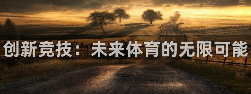 vsport体育在线官网：创新竞技：未来体育的无限可能