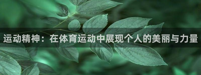 vsport体育：运动精神：在体育运动中展现个人的美丽与力量