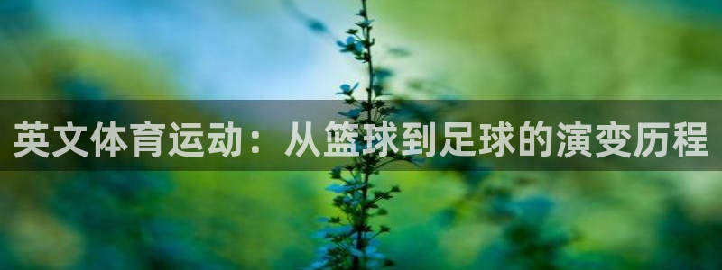 vsport体育：英文体育运动：从篮球到足球的演变历程