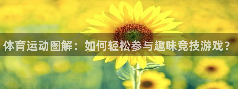 vsport体育：体育运动图解：如何轻松参与趣味竞技游戏？